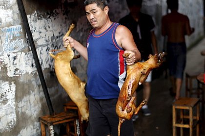 Хятад улс түүхэндээ анх удаа нохой, муурын мах идэхийг хориглолоо