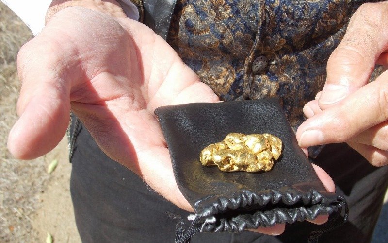 Сэлэнгэ аймгийн Экологийн цагдаагийн алба хаагчид хууль бусаар олборлосон 231.4 грамм алтыг илрүүлжээ
