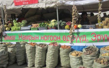 Улаанбаатар хотноо Сэлэнгэ нутгийн шинэ ургацын үзэсгэлэн худалдаа болно
