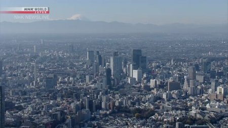 Токиод халдварын 80 тохиолдол шинээр илэрчээ