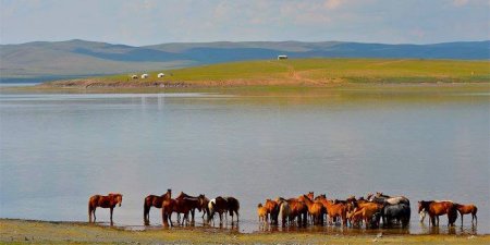 Монголын үзэсгэлэнт газар: ӨГИЙ НУУР