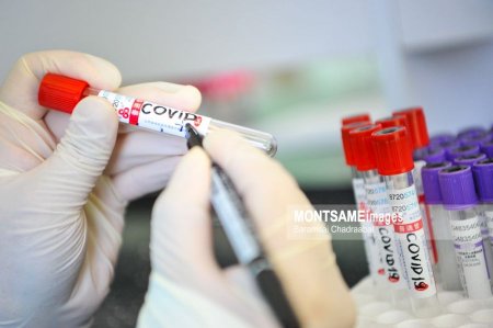Казахстан Улсаас ирсэн 2 оюутнаас коронавирусний халдвар илэрчээ