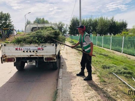 Харшлын эсрэг “Шарилжгүй Мөрөн” аяныг зарлалаа