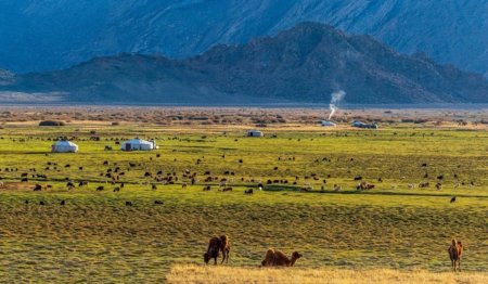 Монгол орны нийт нутгийн 50 орчим хувьд зуншлага сайн байна