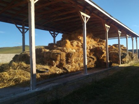 АРХАНГАЙ: Өвөлжилтийн бэлтгэл хангуулах ажил хангалтгүй байв