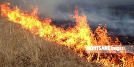 ХӨВСГӨЛ: Ангалгын-Ард гарсан түймэрт 6 га талбай шатжээ
