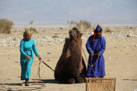 ХОВД: Малчин Д.Хадбаатарын гэр бүл жилийн дөрвөн улиралд тэмээгээр нүүдэг