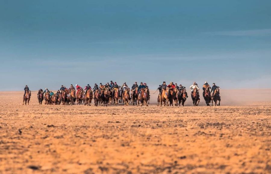 ӨМНӨГОВЬ: Улсын аварга шалгаруулах тэмээн уралдаан, тэмээчдийн зөвлөгөөнийг зохион явуулна