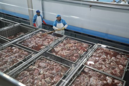 ТӨВ: “Эрүүл монгол мах эко” компани улсын нийт экспортын махны 30 хувийг бүрдүүлдэг