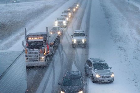 АНУ-ын мужуудад их хэмжээний цас орж, дөрвөн хүн амь насаа алджээ