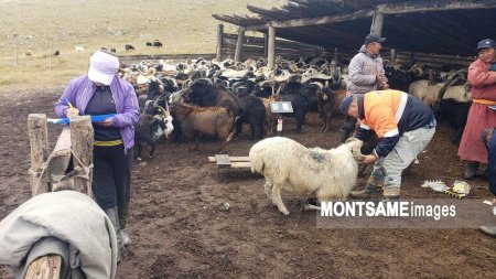 АРХАНГАЙ: Өнгөрсөн онд аймгийн хэмжээнд 1771 иргэн ажилтай болжээ