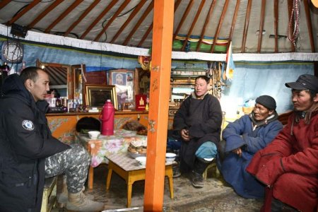 БАЯНХОНГОР: Хүйтний эрч буурахгүй байгаа нь бог мал хорогдоход нөлөөлж байна