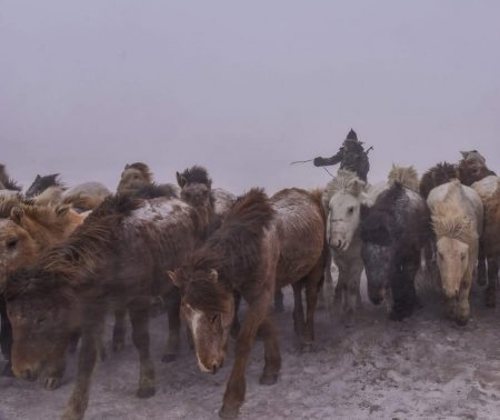 Бензин нь дуусаж, тусламж хүсэхээр яваад төөрсөн иргэнийг хилчид олжээ