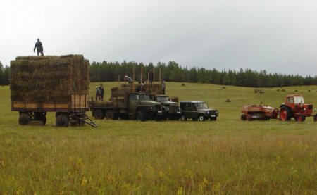 Сүхбаатар аймагт хуучин боодол өвс 5000 төгрөгтэй байна