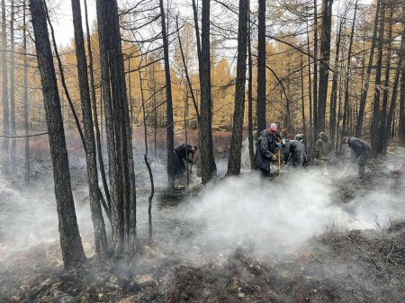 Хөвсгөл аймгийн Цагааннуур суманд гарсан ойн түймэрт 170 га талбай өртжээ