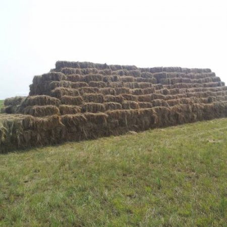 Улсын хэмжээнд 1.3 сая тонн хадлан, 4.7 мянган тонн сүрэл бэлтгэжээ