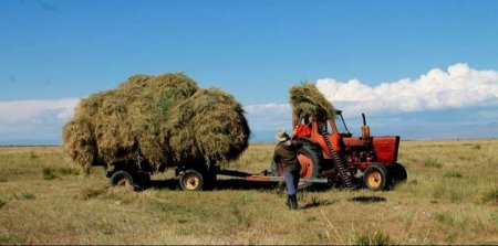 Малчид 1.3 сая тонн хадлан бэлтгэжээ
