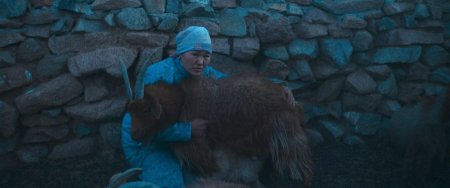 Уур амьсгалын өөрчлөлтөд өртсөн нүүдэлчдийн түүх