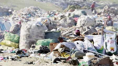 Нийслэлчүүд өдөрт 1500 гаруй тонн хог хаягдал “үйлдвэрлэж” байна