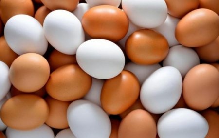 Хуурамч дардастай өндөг борлуулсан ААН-д 20 сая төгрөгийн торгууль ногдуулжээ