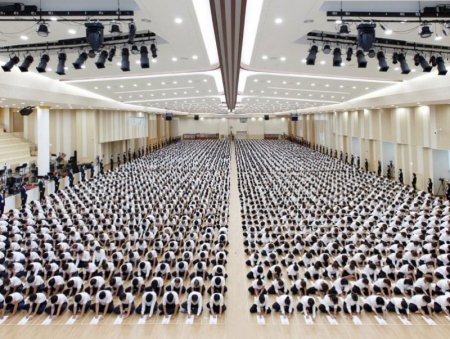 Шашны гаж урсгалд автсан хүмүүсийн ихэнх нь ганцаардсан, амьдралд итгэл алдарсан, эсвэл боловсролын түвшин доогуур байдаг