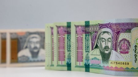 Хийн түлшинд шилжсэн айлуудын урамшууллыг иргэний үнэмлэх болон Hotula аппликэйшнээр олгоно