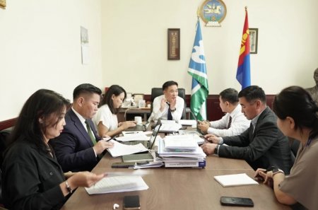 ОЙН, ХЭЭРИЙН ТҮЙМЭРТЭЙ ХОЛБООТОЙ БОУАӨ-ИЙН САЙД ХОЛБОГДОХ ХҮМҮҮСТ ҮҮРЭГ ЧИГЛЭЛ ӨГЛӨӨ