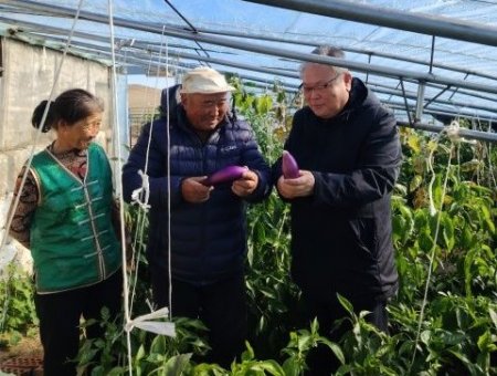 Шинэ амжилт! Дөрвөд хошууны 321 хилийн малчин өрх жилийн турш хүнсний ногоогоо бие дааж хангалаа