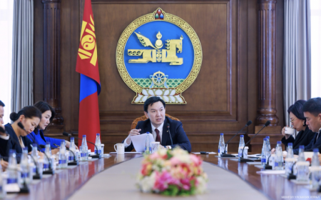 УИХ дахь ажлын хэсгүүд хүний эрх, эрх чөлөөг хязгаарлаж буй хууль тогтоомж, дүрэм журмыг хална