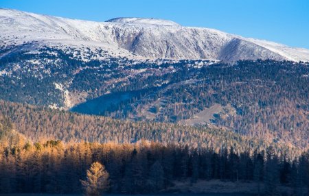 Богдхан ууланд газар олгосон албан тушаалтнуудын хэргийг шүүхэд шилжүүлжээ