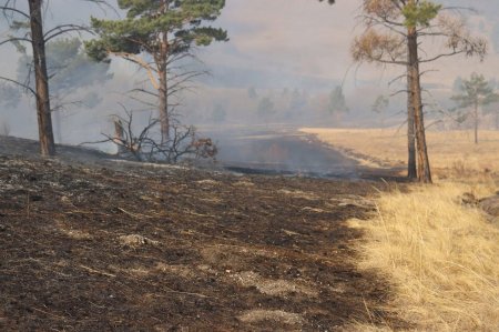 Ховд аймгийн Мянгад суманд хээрийн түймэр гарч, 90 га талбай шатжээ
