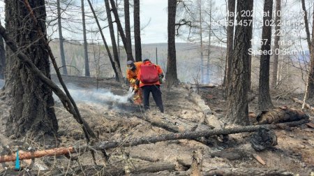 Булган аймагт гарсан ойн хоёр түймрийг цурамд орууллаа