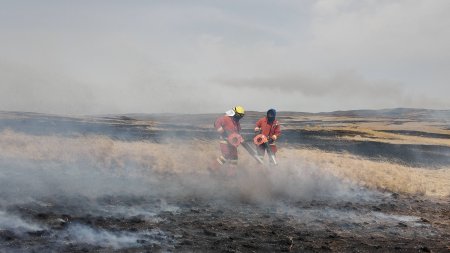Хэнтий аймгийн Дадал суманд хээрийн түймэр гарчээ