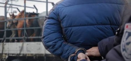 Олон удаагийн үйлдлээр мал хулгайлсан бүлэг этгээдийг илрүүлжээ