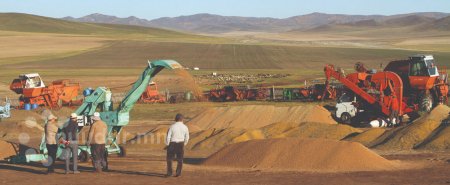 Улаан буудай, гурил үйлдвэрлэлийн салбар уналтад оржээ