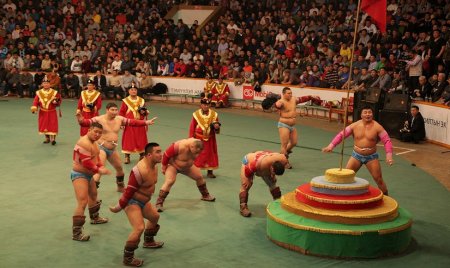 Татвараа төлсөн иргэд дуртай сувгаараа бөхийн барилдаанаа үзэх эрхтэй