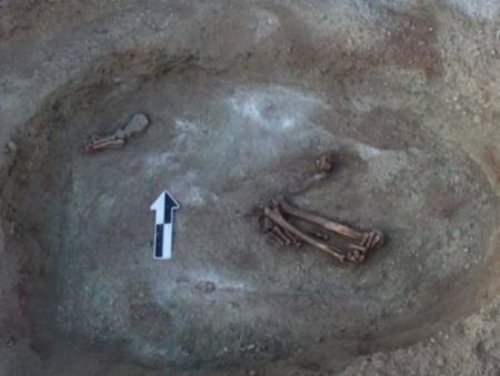 Жужаны үед хамаарах булшийг илрүүлжээ