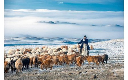 Малчдын хүүхэд сургуульд сурахын тулд амьдрах орчноо бүхэлд нь өөрчилж байна гэв