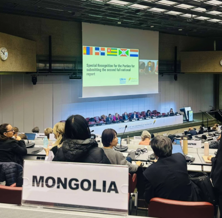 ТОМИЛОЛТ: МОНГОЛ УЛСЫН ТАЙЛАНГ ОНЦЛОВ