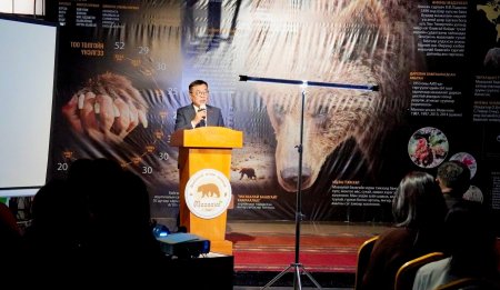 “Мазаалай баавгайг таниулах үндэсний хөтөлбөр”-т 10 мянга гаруй хүүхэд, залуус хамрагдлаа