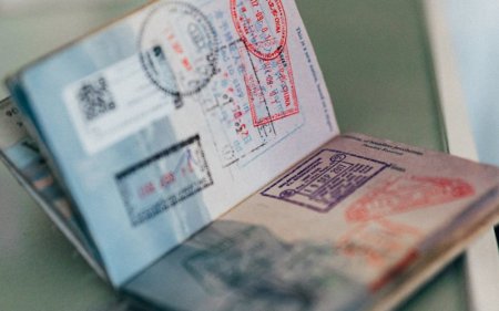 Монголд 10 хонох визийг уригчгүй мэдүүлж болно