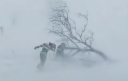 Төв, Дундговь аймагт төөрсөн 61-62 насны хоёр иргэнийг эсэн мэнд олжээ