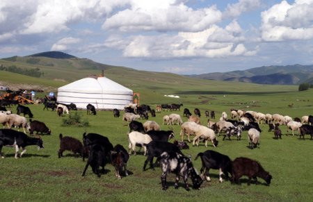 Экологийн дүрвэгсэд...