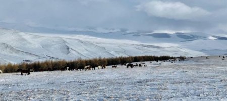 Дараах 11 аймгийн 52 сум цагаан зудтай байна