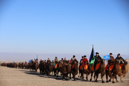 “Засагтхан-2026” тэмээчдийн зөвлөгөөн, бага наадмын үеэр хүн тэмээнээс унаж, нас баржээ