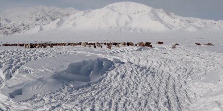 Увс, Завхан, Сэлэнгэ, Хөвсгөлийн зарим сумдаар цасны зузаан хамгийн их байна