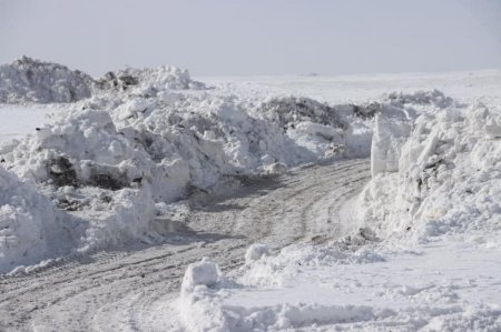 Цасанд суусан “Toyota Prius 30” машиныг татаж гаргажээ