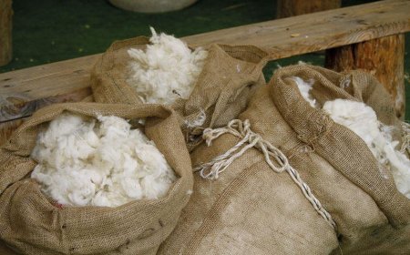 Аймгуудын ноолуурын дундаж үнэ ханштай танилц