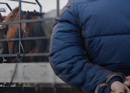 А.Итгэлт: Ченжүүд гарал үүслийн бичиг шалгаж үзэхгүй байгаа нь малын хулгайн гэмт хэргийг өөгшүүлж байна