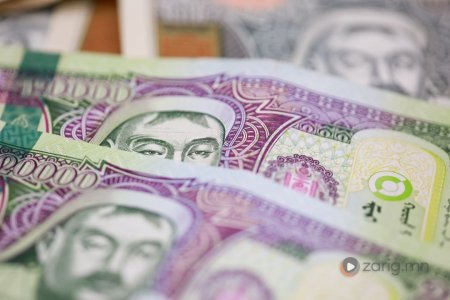 1072 хувьцаатай иргэдэд 63,242 төгрөгийн ногдол ашгийг энэ сард багтаан олгоно
